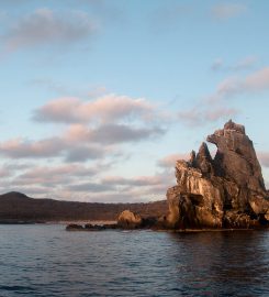 Isla Isabela – Las Monas