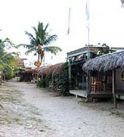 Trellis Bay, Beef Island Airport