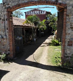 El Tabernero Raicilla Distillery