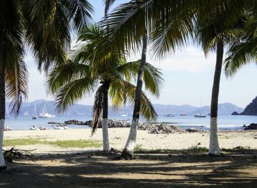 La  Vena Palapa Restaurant