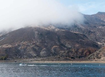 Cedros Island – Las Palmitas