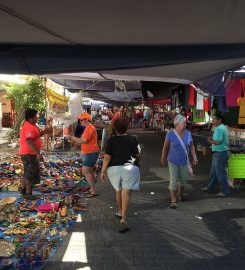 Barra de Navidad Marina