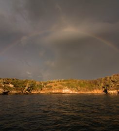 Bahia Chamela – Perula