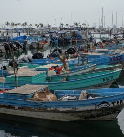 La Cruz Marina