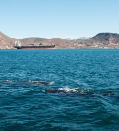 La Paz – Mid Channel Anchorage